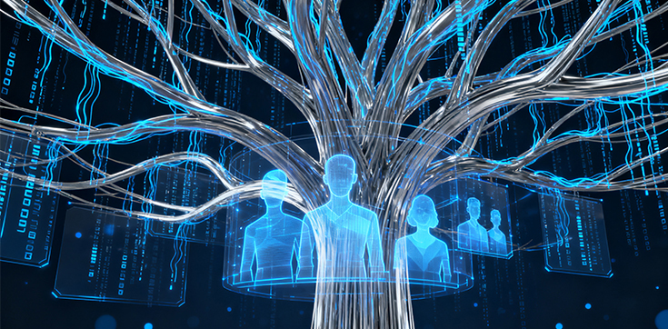 数字化家谱管理系统